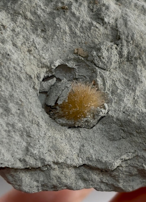 Bursting Sun Aragonite in Cluster - From Pantoja, Spain