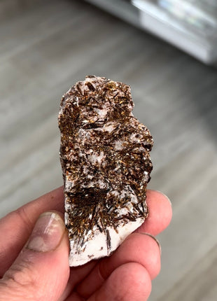 Astrophyllite Specimen from Khibniy Massif, Russia