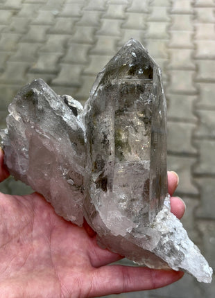 Smoky Quartz with Green Chlorite  - From Chamonix