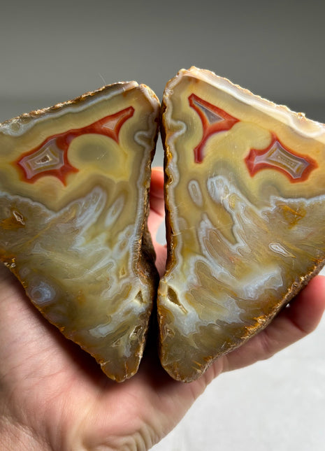 Sumatra Agate Pair