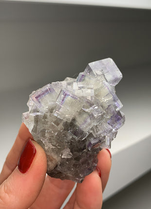 Clear Fluorite with Purple Zoning from La Viesca mine # PM0135