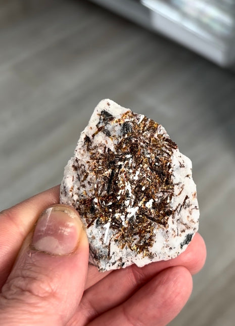 Astrophyllite Specimen from Khibniy Massif, Russia