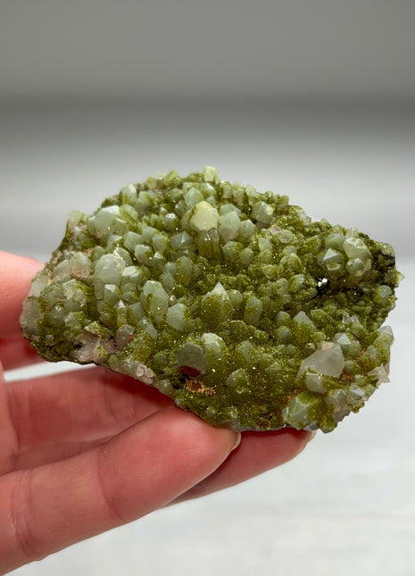 New ! Druzy Green Epidote with Quartz