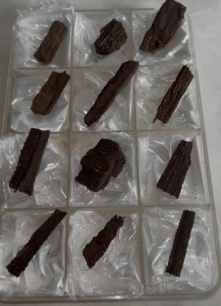 12 Pieces ! Permineralized Fossil Wood Fairy Wood Lot