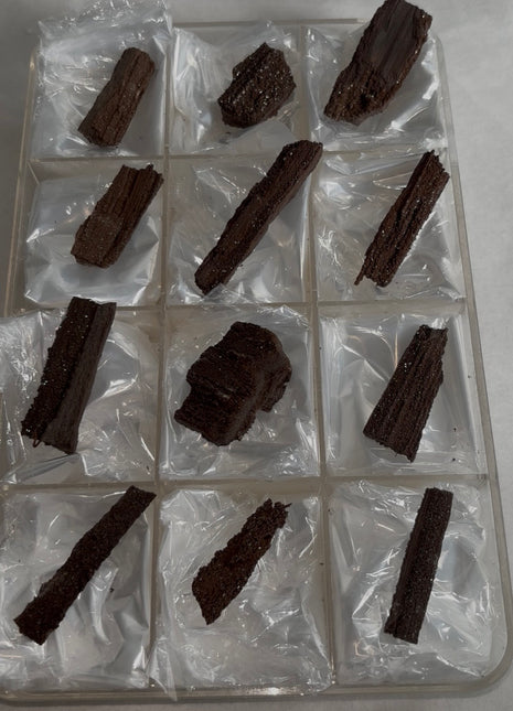 12 Pieces ! Permineralized Fossil Wood Fairy Wood Lot