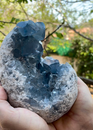 Blue Celestite Geode from Madagascar