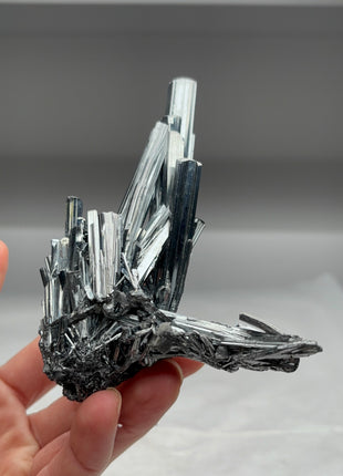 Silvery Stibnite Specimen Collection # 414