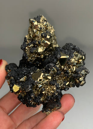 Pyrite with Sphalerite - Collection  # 142