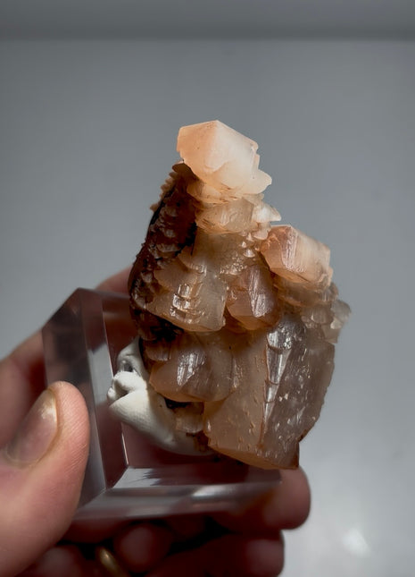 Red Pagoda Calcite ✨ Special Price 💥