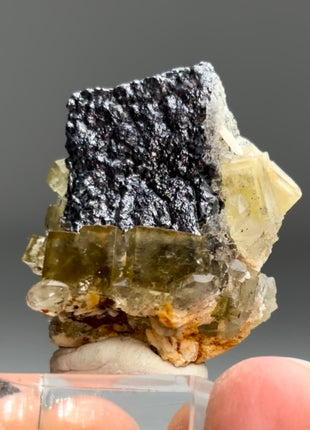 Yellow Fluorite with Metallic Galena