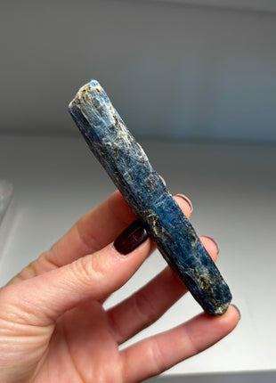 XL Size Blue Kyanite with Mica - From Zambia - 12 Pieces