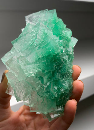 Cubic Green Halite with Atacamite inclusions - From Lubin mine, Poland