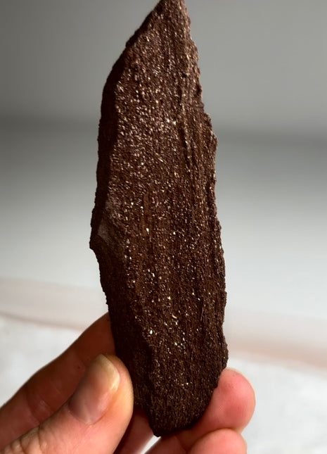 Stunning and Rare Permineralized Fossil Wood with Quartz - From Germany