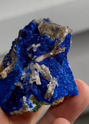 Blue Azurite with Cerussite PM1406
