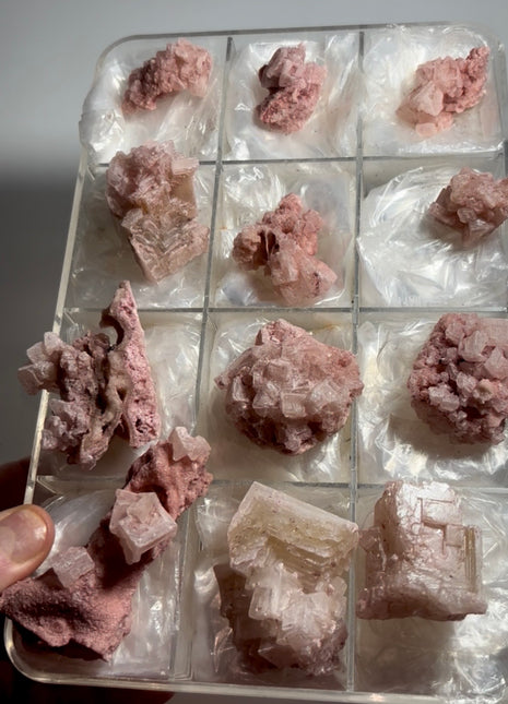 12 Pieces ! Pink Halite Lot