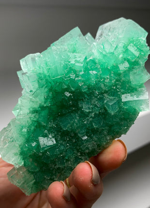 Cubic Green Halite with Atacamite inclusions - From Lubin mine, Poland