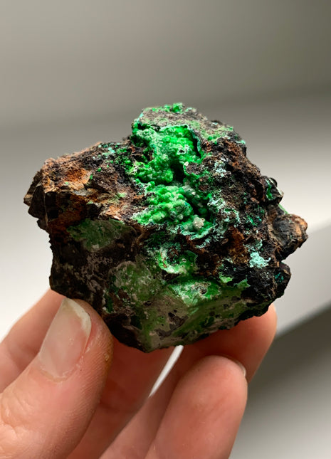 Vibrant Green Conichalcite ! From Spain