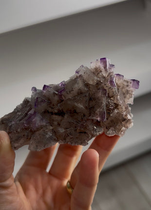 New ! Two Generation Fluorite Specimen PM1269