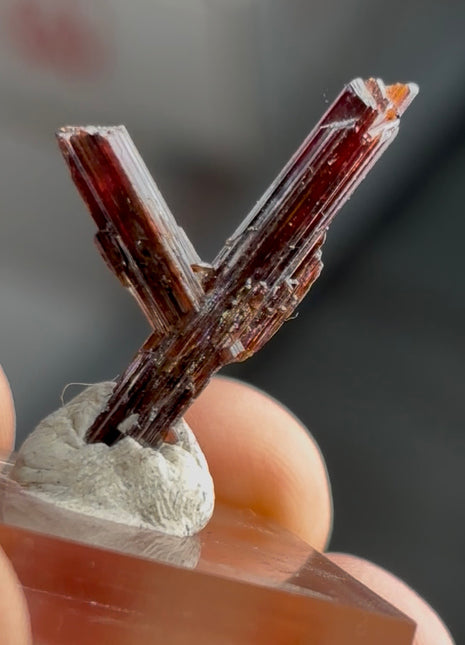 Red Rutile from Diamantina mine, 1990s find PM0852