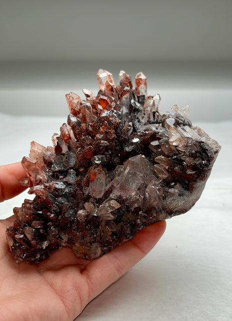 Shimmering Nevara Quartz