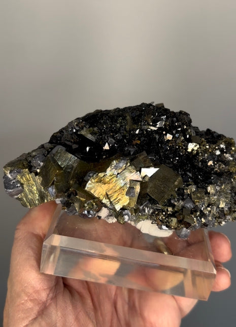 Amazing ! Iridescent Pyrite with Sphalerite