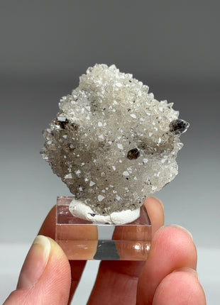 Rare Black Herkimer from New York