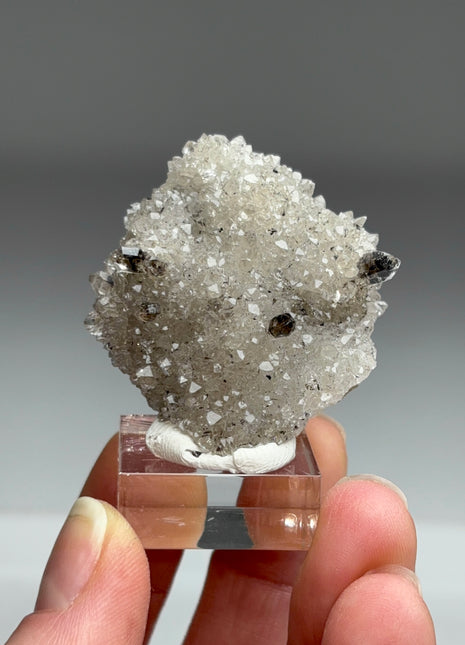 Rare Black Herkimer from New York