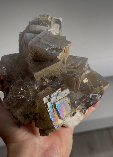 Rare ! Rainbow Fluorite PM0772 🌈