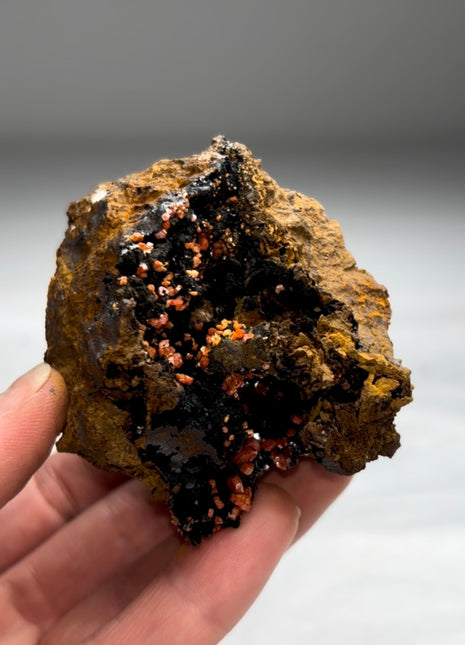 New Arrival ! Black Goethite with Red Vanadinite