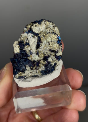 Rare Covellite with Pyrite from Montana Special Price 💥