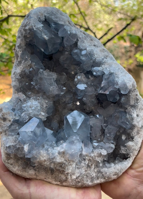 Blue Celestite Geode from Madagascar