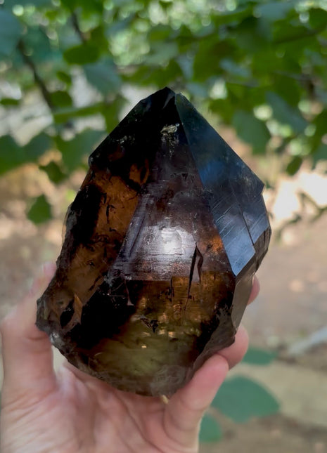 Morion Quartz PM1213