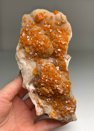 Rare Wulfenite from Los Lamentos, Mexico - Collection # 071