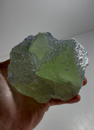 Green Fluorite with Blue Crystallization PM1152