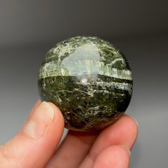 Collection image for: Arizona Pietersite