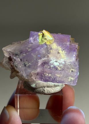 New Arrival ! Galaxy Fluorite