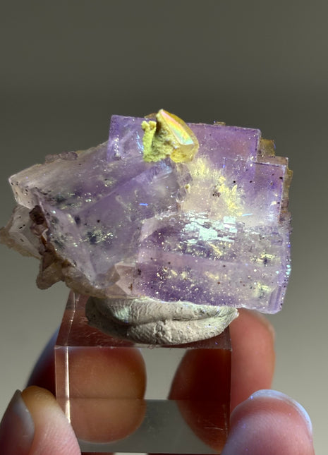 New Arrival ! Galaxy Fluorite