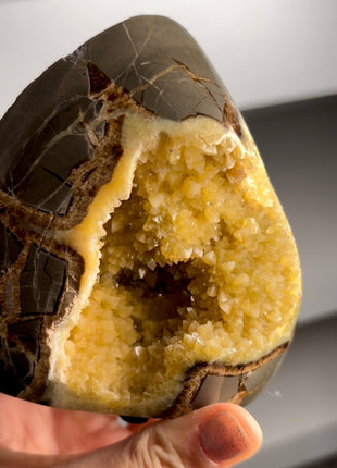 Septarian Geode from Utah