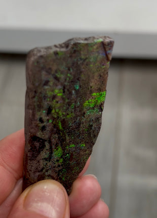 Australian Andamooka Fire Opal PM1136 🌈