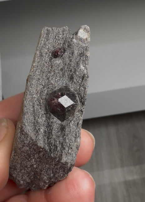 6 Pieces ! Red Garnet in Schist Lot from Wrangell Island