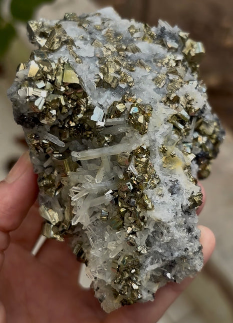 Very Shiny Pyrite with Quartz