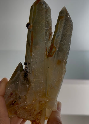 Stardust Quartz PM0653