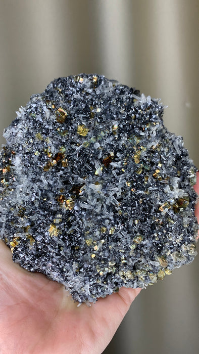 Incredible ! Sphalerite with Rainbow Pyrite - Borieva mine, Rhodope Mtns