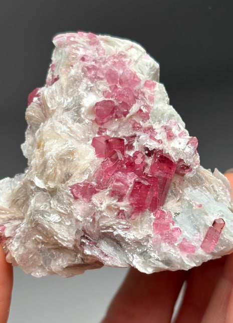 Rubellite Tourmaline with Albite, Lepidolite from Russia Collection  # 263