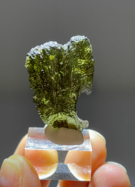 Green Moldavite from Czech Republic