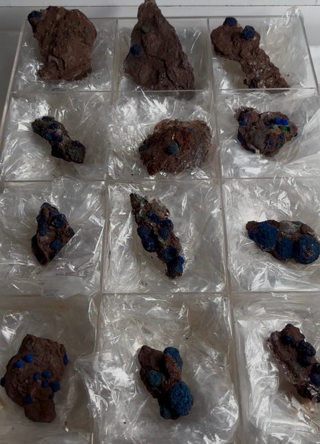 12 Piece Lot ! Rare Blueberry Azurite Specimens