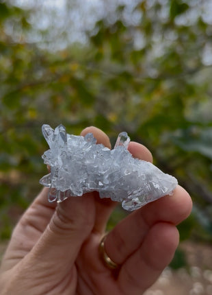 Sky Blue Celestite 💎