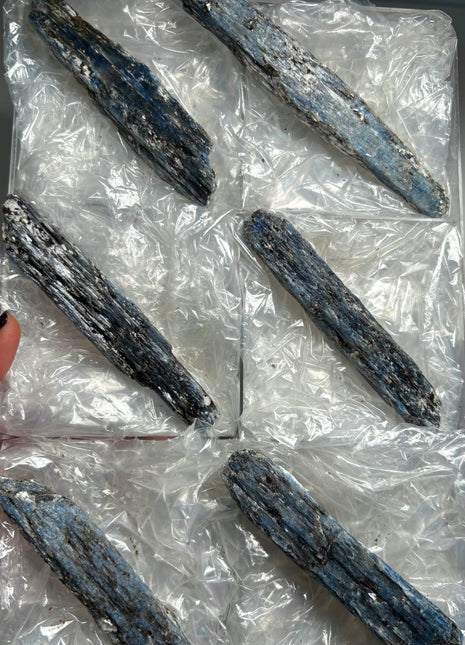 XL Size Blue Kyanite with Mica - From Zambia - 6 Pieces