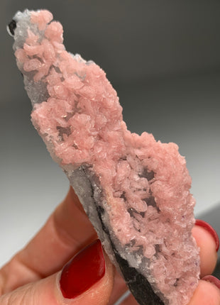 Gorgeous Pink Rhodocrosite on Quartz