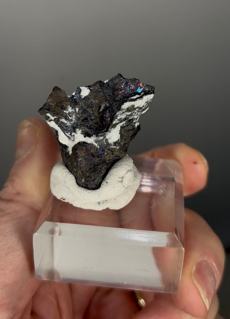 Rare Covellite from Montana Special Price 💥